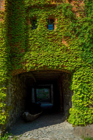An ancient castle with an arch and plants. Radomyshl, Ukraineのeditorial素材