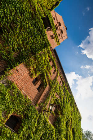 Ancient castle in summer. Radomyshl, Ukraineのeditorial素材