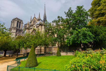 Notre Dame Cathedral in summer nature background.の写真素材