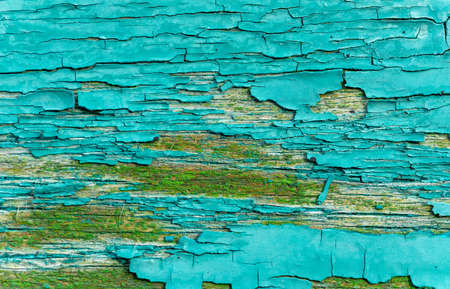 Texture of old green paint on wood.の写真素材