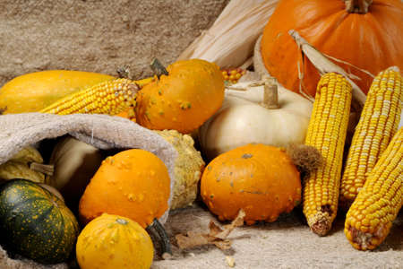 closeup with corn and pumpkinsの写真素材