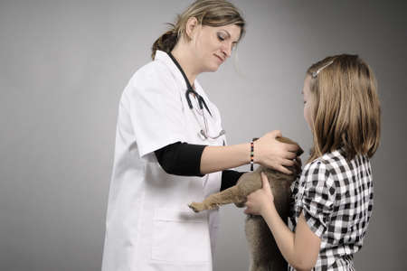 veterinary woman examining petの写真素材