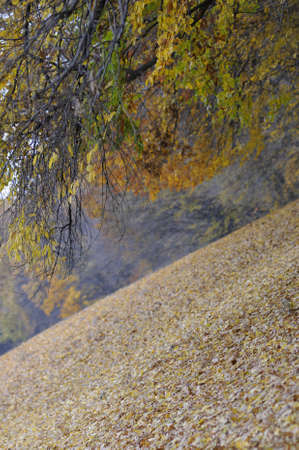 view with hill in fall season