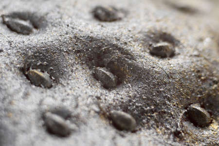 silver textureの写真素材