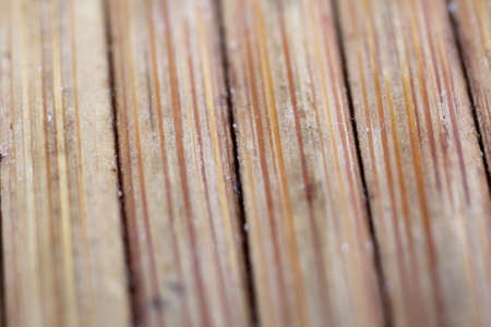 macro with woodの写真素材