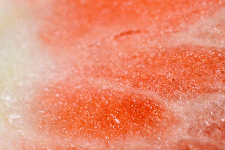 red strawberry macroの写真素材