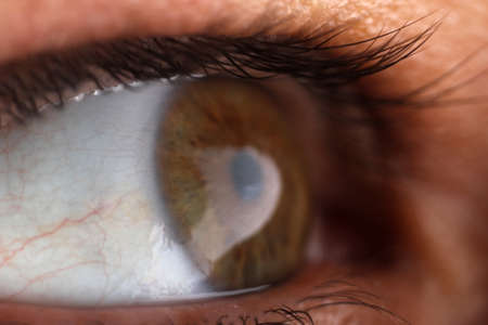 human eye ballの写真素材