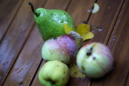 healthy fall fruits for eatingの写真素材