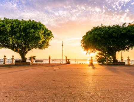 sunrise or sunset scenic view on a beautiful square with pavement, two beautiful green trees and amazing skyの写真素材