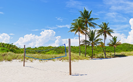 Palm Trees and volleyball court and net on the beach sand in Miami Florida with blue sky and beautiful natureの写真素材