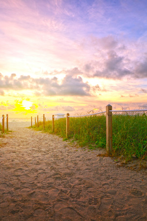 Path on the sand going to the ocean in Miami Beach Florida at sunrise or sunset, beautiful nature landscape, retro  filter for vintage looksの写真素材