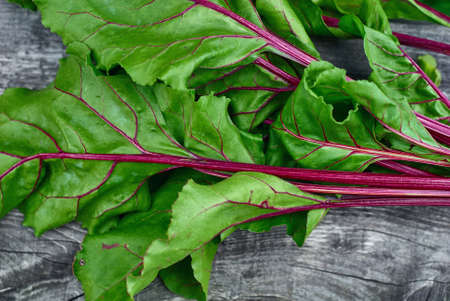 Wooden vintage background for design with fragment bright green, beautiful beet haulm. Top viewの写真素材