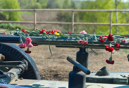 Historical place of battles during the second world war in Russia near St. Petersburg,  flowers on...