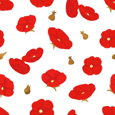 Blooming poppies seamless pattern vector illustrationのイラスト素材