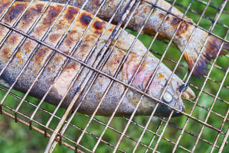 Fried trout on the grill close upの写真素材