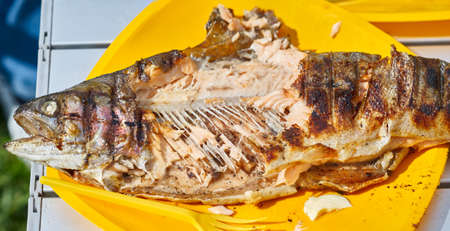 Trout grill on the plate close upの写真素材