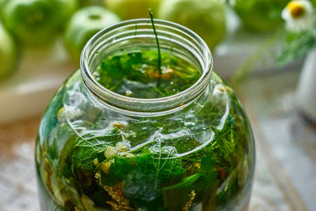 Medicinal infusion of boiling water and freshly picked leaves and herbs in glass jarの写真素材