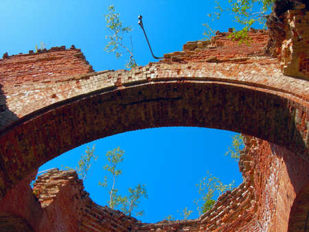 The ruins of roof of temple, overgrown with trees, inside view architectureの写真素材