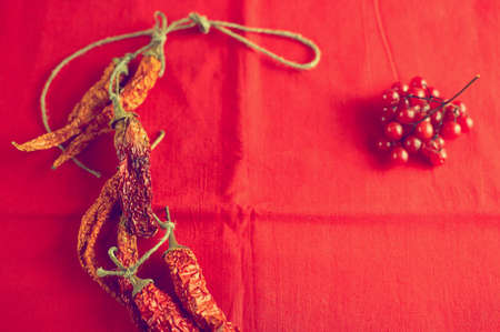 Dry hot chilli peppers and berries viburnum on bright red fabric background close-up