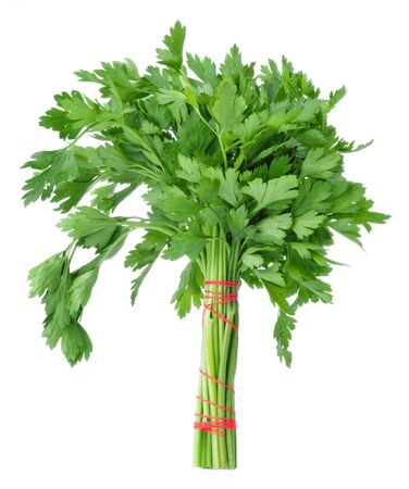 Bunch of parsley isolated on a white backgroundの写真素材