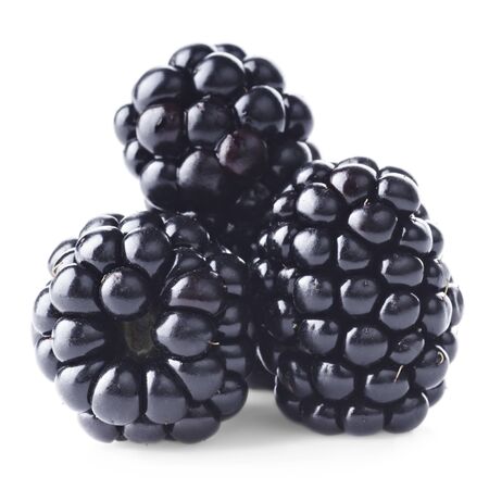 Fresh blackberry on white backgroundの写真素材
