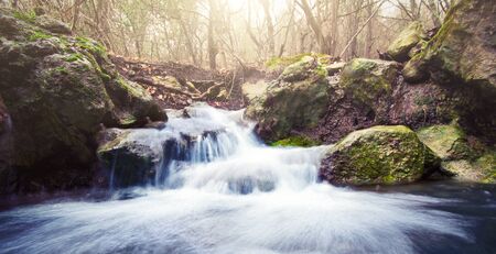 Beautiful waterfall in autumn forestの写真素材