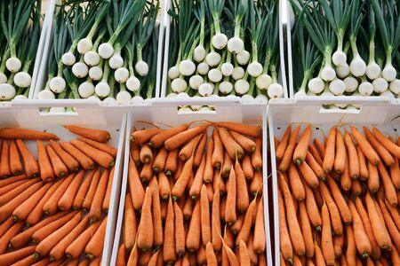 Sale of fresh vegetables in the grocery store. Carrot and onionの写真素材