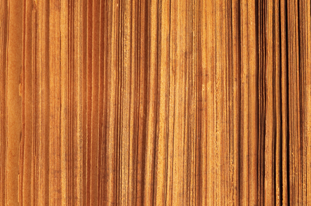 Striped background paper. Book pageの写真素材