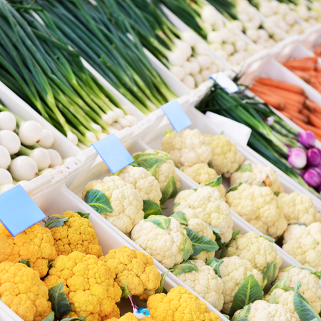 Sale of fresh vegetables in the grocery storeの写真素材