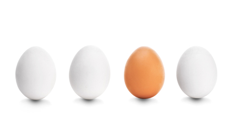 Four chicken egg on white backgroundの写真素材