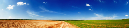 Agricultural fieldsの写真素材