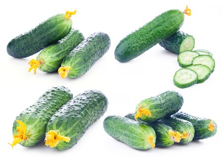 Fresh raw cucumber isolated on white backgroundの写真素材