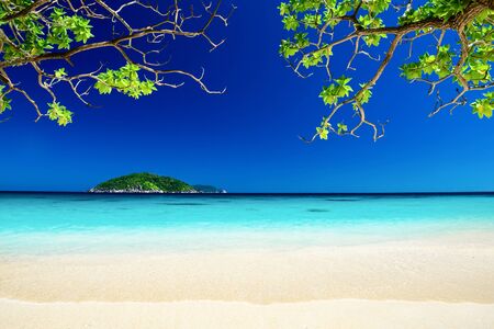 Tropical landscape of Similan islands, Thailandの写真素材