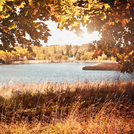 Autumn landscape with colorful maple treeの写真素材