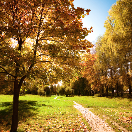 autumn landscapeの写真素材