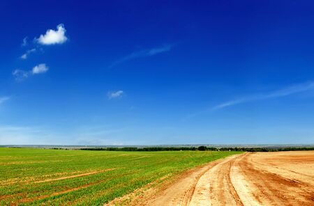 Agricultural fieldsの写真素材