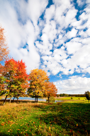 Autumn landscape with colorful maple treeの写真素材