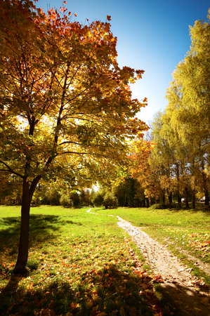 autumn landscapeの写真素材
