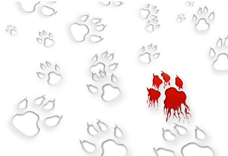 Bloody track on white backgroundの写真素材