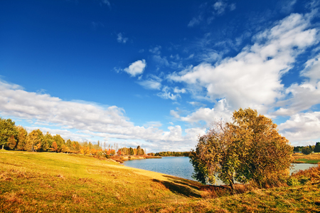 Autumn landscape with colorful maple treeの写真素材