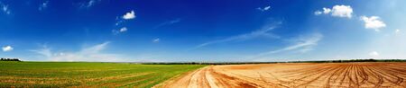 Agricultural fieldsの写真素材