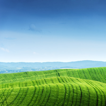 Green field and blue sky. Italy, Tuscanyの写真素材