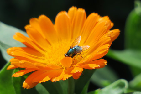 the beauty of nature in colorsの写真素材