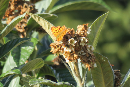 the beauty of nature in colorsの写真素材