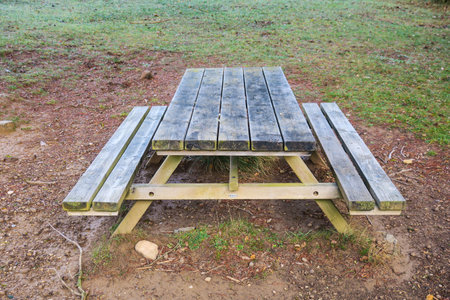 Wooden picnic table in the park with green grass in the backgroundの写真素材