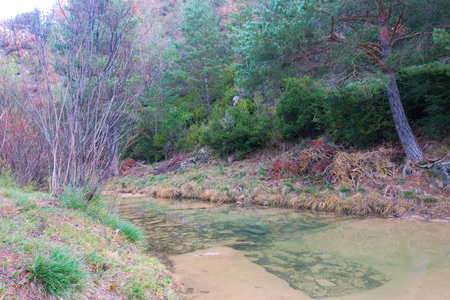 Landscape view of a small river in the forest at autumn.の写真素材