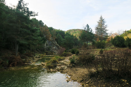 Landscape of river and forestの写真素材