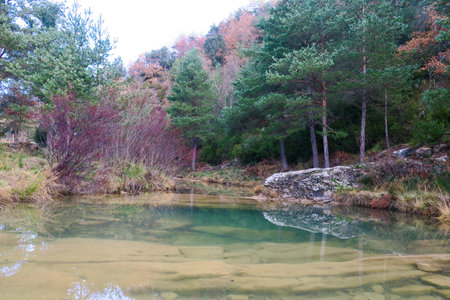 Autumn landscape with a small river in the middle of the forestの写真素材