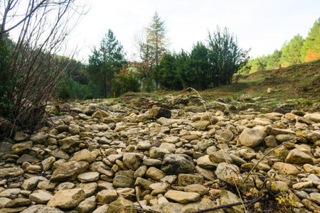 Rocky creek in the forest. Nature background with copy space.の写真素材