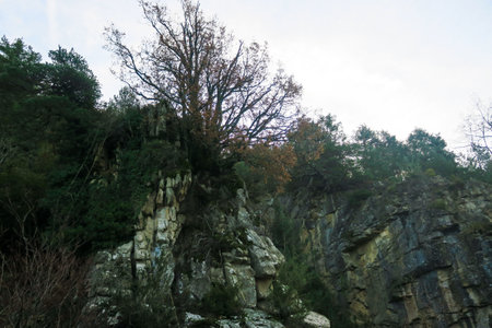 Mountain landscape with rocks and trees in the foreground, closeup of photoの写真素材